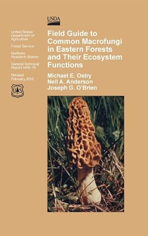 Seller image for Field Guide to Common Macrofungi in Eastern Forests and Their Ecosystem Function for sale by AHA-BUCH GmbH