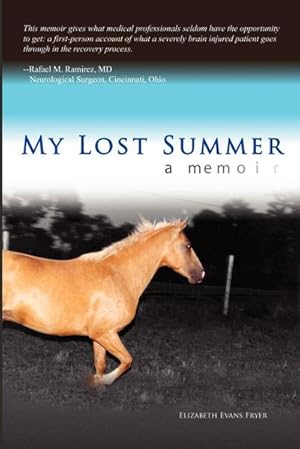 Seller image for My Lost Summer for sale by AHA-BUCH GmbH