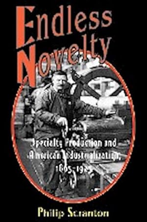 Seller image for Endless Novelty : Specialty Production and American Industrialization, 1865-1925 for sale by AHA-BUCH GmbH