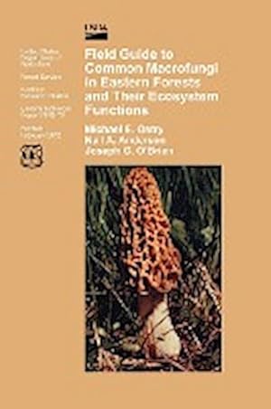 Seller image for Field Guide to Common Macrofungi in Eastern Forests and Their Ecosystem Function for sale by AHA-BUCH GmbH