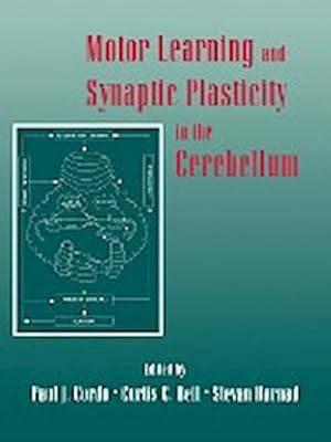 Seller image for Motor Learning and Synaptic Plasticity in the Cerebellum for sale by AHA-BUCH GmbH