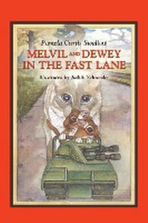 Seller image for Melvil and Dewey in the Fast Lane for sale by AHA-BUCH GmbH