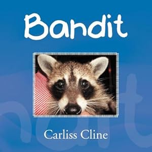 Imagen del vendedor de Bandit a la venta por AHA-BUCH GmbH