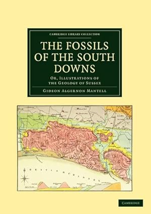 Bild des Verkufers fr The Fossils of the South Downs : Or, Illustrations of the Geology of Sussex zum Verkauf von AHA-BUCH GmbH