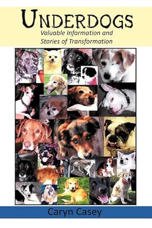 Imagen del vendedor de Underdogs : Valuable Information and Stories of Transformation a la venta por AHA-BUCH GmbH