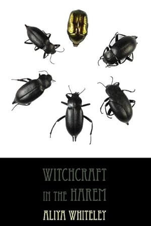 Bild des Verkufers fr Witchcraft in the Harem zum Verkauf von AHA-BUCH GmbH
