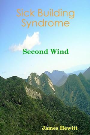 Seller image for Sick Building Syndrome : Second Wind for sale by AHA-BUCH GmbH