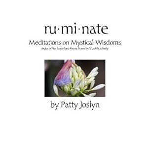 Seller image for ruminate : Meditations on Mystical Wisdoms for sale by AHA-BUCH GmbH
