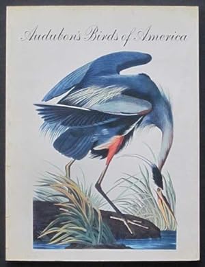 Imagen del vendedor de Audubon's Birds of America a la venta por Goulds Book Arcade, Sydney
