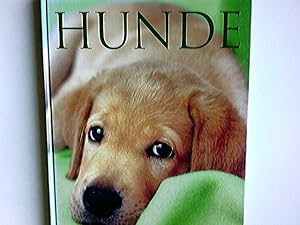 Image du vendeur pour Hunde. Sarah Whitehead ; Beverley Cuddy. [Red.: Simon Hall . Ill.: David Ashby . bers.: Karin Balzer ; Grace Pampus] mis en vente par Antiquariat Buchhandel Daniel Viertel