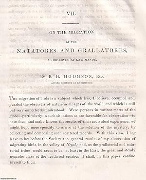 Imagen del vendedor de On the Migration of the Natatores and Grallatores, observed at Kathmandu. An original article extracted from Asiatic Researches; or Transactions of the Society Instituted in Bengal, 1833. [Afterwards known as The Asiatic Society of Bengal]. a la venta por Cosmo Books