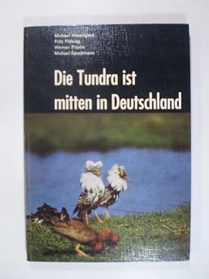 Die Tundra ist mitten in Deutschland