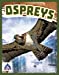 Seller image for Ospreys (Birds of Prey) [Soft Cover ] for sale by booksXpress