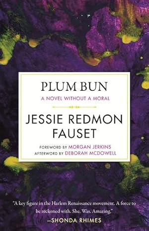 Seller image for Plum Bun: A Novel without a Moral by Fauset, Jessie Redmon [Paperback ] for sale by booksXpress