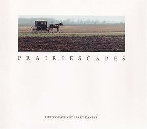 Imagen del vendedor de Prairiescapes: Photographs (Visions of Illinois) a la venta por WeBuyBooks