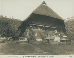 Foto Schwarzwald, Schwarzwaldhaus im Gutachtal, NPG 2334