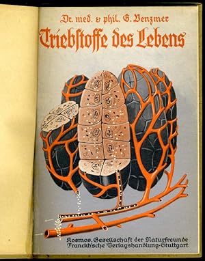 Seller image for Triebstoffe des Lebens. Hormone und Innere Sekretion I. Kosmos. Gesellschaft der Naturfreunde. Kosmos Bibliothek 130. for sale by Antiquariat Liberarius - Frank Wechsler