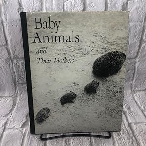 Baby Animals and Their Mothers