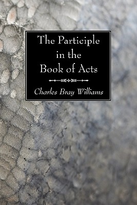 Seller image for The Participle in the Book of Acts (Paperback or Softback) for sale by BargainBookStores