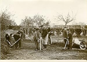 "Jardinage Atelier-école d'ANDRÉSY 1931" Photo de presse originale par G. DEVRED / Agence ROL Par...