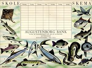 Stundenplan Augustenborg Bank, Dänemark, Fische, Aal, Stör, Hecht, Flunder um 1970