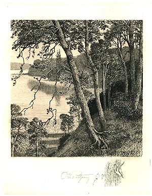 Bäume am Ufer eines Sees.
