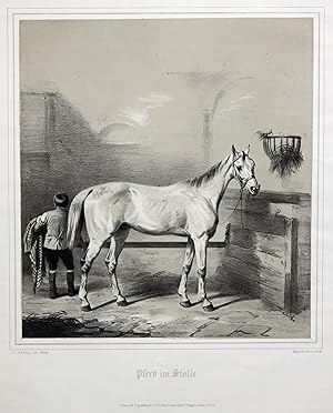 Bild des Verkufers fr Ein Pferd im Stalle - Ein Schimmel im Stall, im Hintergrund ein Junge. zum Verkauf von Antiquariat Clemens Paulusch GmbH
