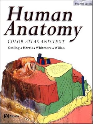 Seller image for Human Anatomy: Color Atlas and Text for sale by WeBuyBooks