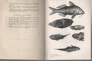 Image du vendeur pour Studies In Ichthyology No. 9. Records of The Australian Museum Vol. XIX, No.4. mis en vente par Time Booksellers