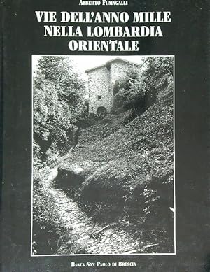 Seller image for Vie dell'anno Mille nella Lombardia orientale for sale by Librodifaccia