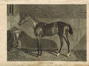 Immagine del venditore per Theodore [horse in stable]. First edition of the aquatint. venduto da Wittenborn Art Books