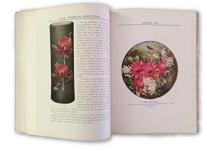 The Australian Flora in Applied Art. Part I: The Waratah