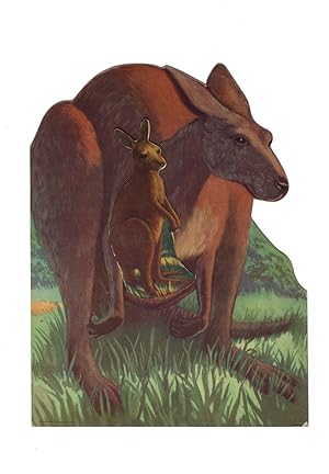 Image du vendeur pour Kankie Kangaroo.Who Couldn't Hop mis en vente par Rare Illustrated Books