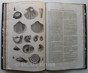 Bild des Verkufers fr Catalogues of the birds, shells, and some of the more rare plants of Dorsetshire. With additions; and a brief memoir of the author. Illustrated with plates. zum Verkauf von Antiquariat Bibliakos / Dr. Ulf Kruse