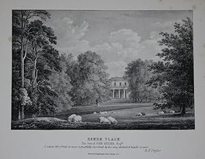 A Fine Original Antique Lithograph By G. F. Prosser Illustrating Esher Place in Surrey, the Seat ...