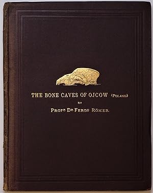 The Bone Caves of Ojcow in Poland