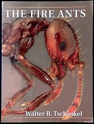 Imagen del vendedor de The Fire Ants a la venta por San Francisco Book Company