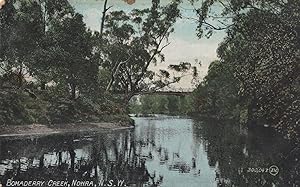 Bomaderry Creek Australia Antique New South Wales Postcard
