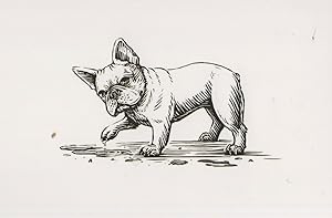French Bulldog Playing With A Puddle Dog Painting Postcard