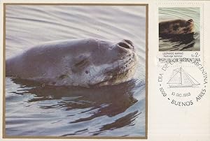 Argentina Sea Lion Swimming 1983 First Day Cover Postcard