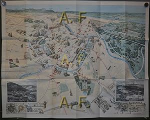 "Monumental-Plan der Haupt- und Residenzstadt Wien", Photolithographie nach einer Zeichnung von L...