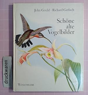 Imagen del vendedor de Schne alte Vogelbilder. a la venta por Druckwaren Antiquariat