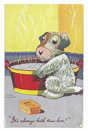 Postal. A DOG'S LIFE. NORFIELD,EDGAR. nº 3633 "IT'S ALWAYS BATH TIME HERE!" Raphael Tuck & Sons