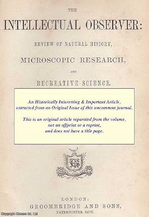Bild des Verkufers fr Moss Parasites. An original uncommon article from the Intellectual Observer, 1863. zum Verkauf von Cosmo Books