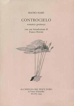 Controcielo. Romanzo grottesco