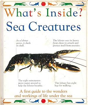 Imagen del vendedor de What's Inside. Sea Creatures a la venta por Libro Co. Italia Srl