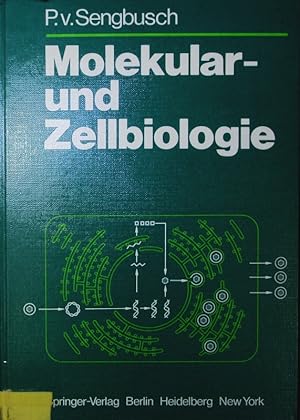 Bild des Verkufers fr Molekular- und Zellbiologie. zum Verkauf von Antiquariat Bookfarm