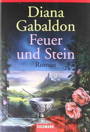 Seller image for Feuer und Stein : Roman. Aus dem Amerikan. von Elfriede Fuchs und Gabriele Kuby / Goldmann ; 43772 for sale by Antiquariat Buchhandel Daniel Viertel