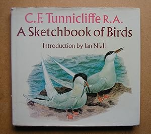 Imagen del vendedor de A Sketchbook of Birds. a la venta por N. G. Lawrie Books