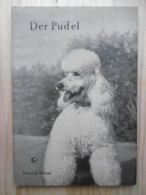 Der Pudel.